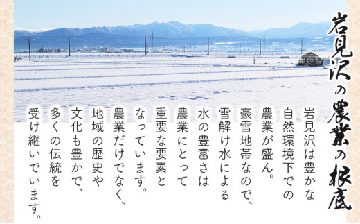 ＜令和8年産＞『100%自家生産玄米』善生さんの自慢の米 玄米ゆめぴりか 20kg｜北海道 岩見沢市 お米 新米【a104-108】【06130】
