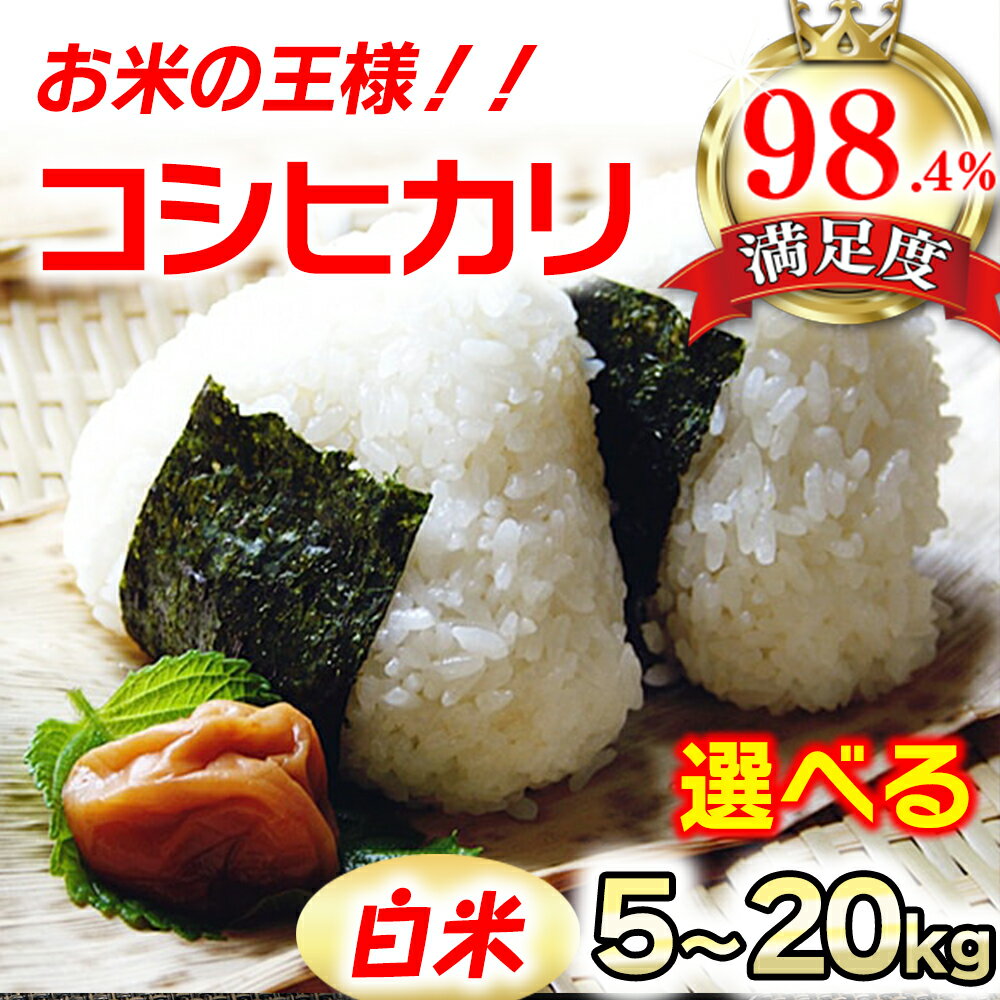【ふるさと納税】【新米】【7年産】近江米 コシヒカリ 白米 5kg / 10kg / 20kg 選べる 滋賀県産