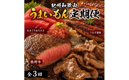 
            【定期便 全3回】紀州和歌山うまいもんセットC（生まぐろ・うなぎ蒲焼・熊野牛）【UT127】
          