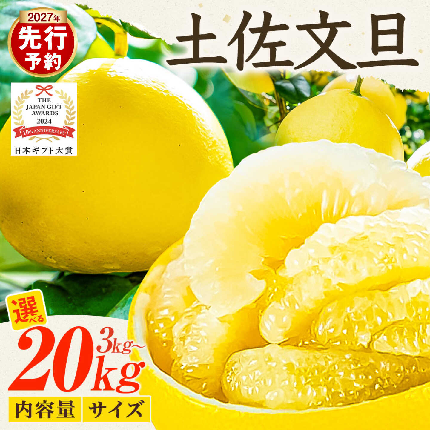 園主こだわりの土佐文旦 選べる内容量 3kg～ 小玉（L～Mサイズ） ぶんたん ブンタン 柑橘 みかん フルーツ 果物 家庭用 美味しい お取り寄せ 土佐 高知 やの一果彩 ふるさとのうぜい ふるさと納税 春 旬 故郷納税 高知県 5000円～ 土佐市
