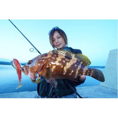 ふるさと納税 飯塚市 RUDIE‘Sのハタ喰い・魚子　3.5inch　5カラーセレクトセット　釣り具 ルアー |  | 01