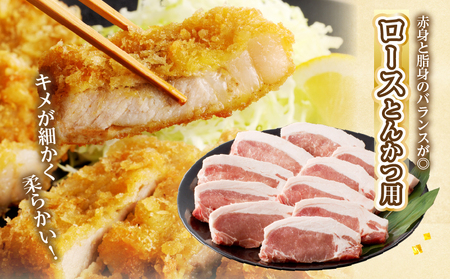 宮崎県産豚『とんかつ用』セット(合計2kg) 肉 豚 豚肉 国産_T041-010