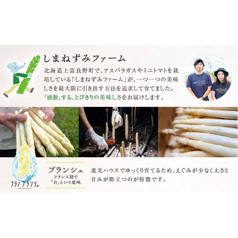 先行予約 【 2025年 発送 ！】 北海道 上富良野産 ホワイトアスパラガス 2L サイズ 500g アスパラ ホワイト アスパラガス 上富良野町 令和7年発送 野菜 やさい【オンライン決済限定】_