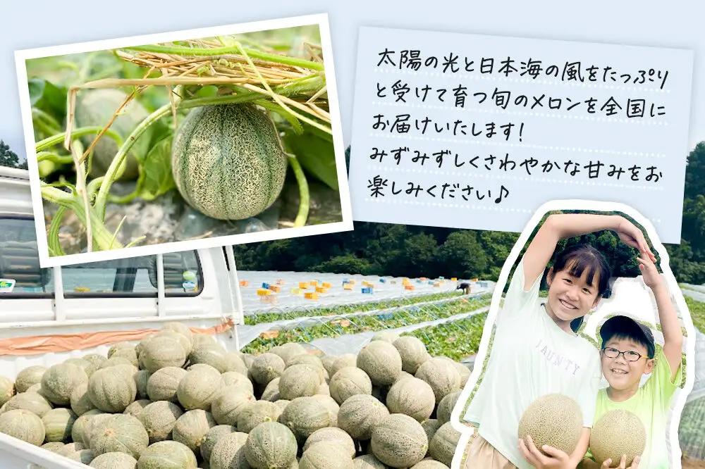 R8年度産 先行受付 メロン3L（1.3キロ前後）×2玉（レノンレッド）秋田県 男鹿市