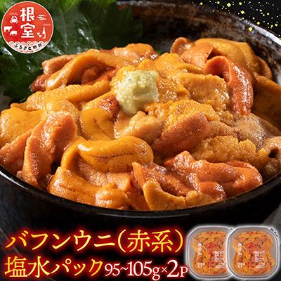 ふるさと納税 根室市 バフンウニ(赤系)塩水P95〜105g×2P B-74002