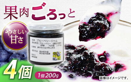 果肉ごろごろ手作りブルーベリージャム 200g×4個 / ジャム ブルーベリージャム ブルーベリー ベリー / 諫早市 / 横林ブルーベリー園 [AHCS001] 