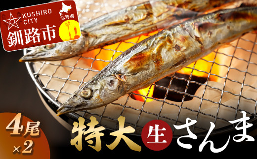 【期間限定！寄附額改定↓！】釧路産・急速冷凍 【特大】生サンマ（4尾入×2） 生サンマ さんま _F4F-0341