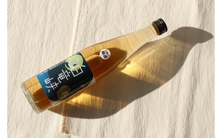 【 梅酒 】 白竜峡 500ml 酒 梅酒 リキュール