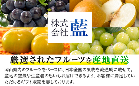 【先行予約】梨 あたご梨 2玉 約1.6kg 株式会社藍《2025年11月下旬-12月下旬頃出荷》 岡山県 浅口市 岡山県産 なし フルーツ 果物 くだもの ナシ 大玉 送料無料