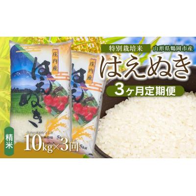 ふるさと納税 鶴岡市 【毎月定期便】斎藤農場の特別栽培米はえぬき10kg(5kg×2) [K-875]全3回