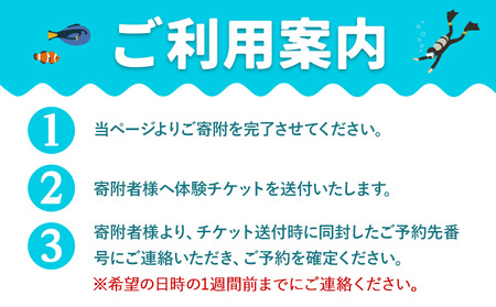 体験ダイビングチケット 勝浦ダイビング協会《30日以内に出荷予定(土日祝除く)》