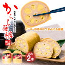 【ふるさと納税】からし蓮根 丸大 2本入り 合計500g 250g×2本 おつまみ 惣菜 九州 冷蔵 熊本名物 辛子 れんこん 蓮根 レンコン 熊本県 八代市 ご当地 郷土料理 送料無料