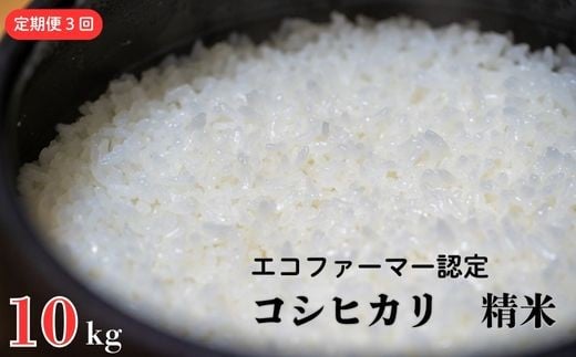 
            《定期便3ヶ月》 令和7年産 新米【エコファーマー認定】 コシヒカリ 白米 10kg ／ 米 こめ コメ ごはん ご飯 お米 おこめ 精米 白米 新米 エコファーマー認定 10kg 定期便 令和7年 千葉県 東庄町 産地直送
          