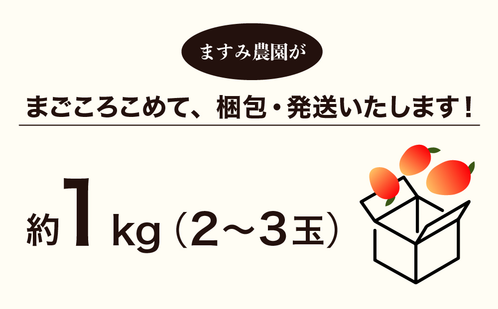 2026年 先行予約 マンゴー 夏小紅 約1kg 2～3玉 ますみ農園 甘味 スッキリ 果物 フルーツ