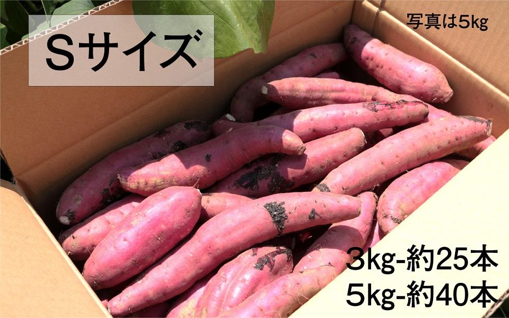 【鹿児島県産】熟成 紅はるか 5kg (1箱 ) Sサイズ さつまいも