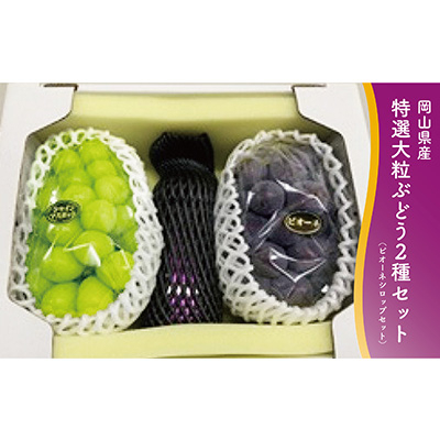
                  1063.＜先行受付＞特選大粒ぶどう2種とピオーネシロップセット(10月初旬～12月発送予定)【1488999】
                