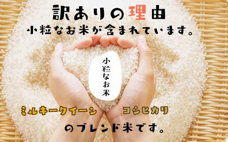 新米 米 令和7年産 訳あり 5kg  米 