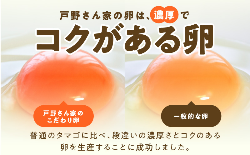 戸野さん家のこだわりタマゴ 定期便 30個×全3回 Mサイズ 合計 90個【毎月配送コース 卵 たまご 国産 濃厚 とことん餌にこだわった とのたま】 099Z162