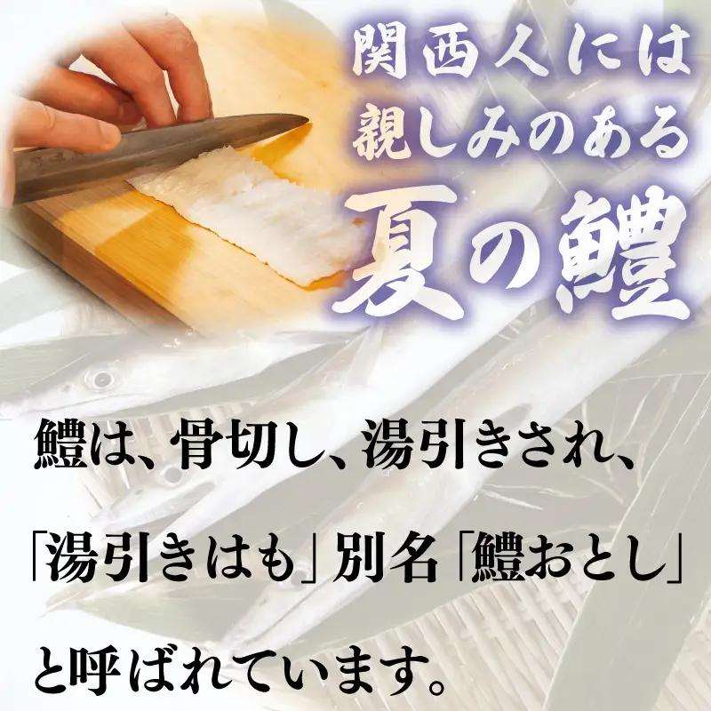 鱧おとし 350g【からし酢みそ 梅肉付き】
