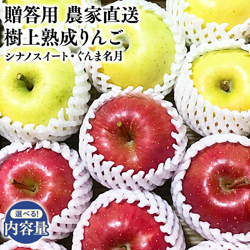 【ふるさと納税】≪内容量が選べる≫10～11月発送! 青森県産 樹上熟成 シナノスイート・ぐんま名月 約3kg 約5kg 【青森県 平川市 ゆうりんりんご園】青森りんご りんご リンゴ 林檎 シナノスイート 名月 群馬名月 果物 くだもの フルーツ レビューキャンペーン