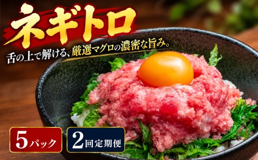 2回定期便 まぐろのネギトロ 5パック   700g  70g×5パック 2回  ねぎとろ どんぶり マグロ丼  ネギトロ丼 海鮮丼 手巻き寿司 鮪丼 鮪 マグロ まぐろたたき maguro まぐろのたたき ねぎトロ 人気 一人暮らし 大家族 挨拶 小分け パック 上質 上品 赤身 新鮮 本物 贈り物 自宅用 海鮮 魚介 お歳暮 便利 高知県 カネアリ水産 安芸市 高知県