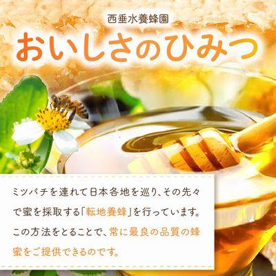 ふるさと納税 南九州市 旅するはちみつ300g【れんげ蜂蜜】 |  | 01