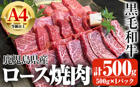 鹿児島県産A4等級以上黒毛和牛・ロース不揃い切り落とし焼肉 計500g(500g×1パック) 黒毛和牛 牛肉 切り落とし【ビーフ倉薗】A521