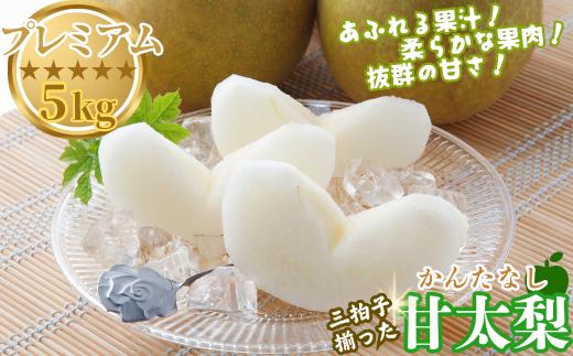 プレミアム甘太梨 5kg