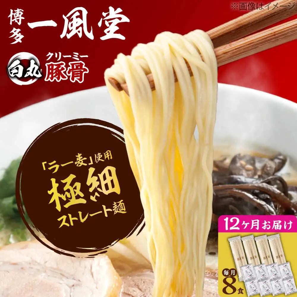 【全12回定期便】ラー麦使用「一風堂」とんこつラーメン 白丸(8食)[BGAD033]