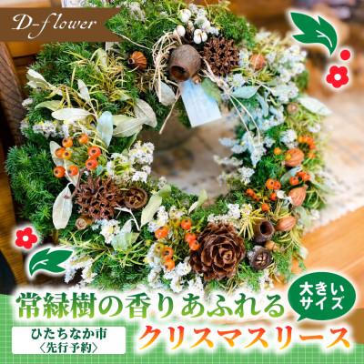 ふるさと納税 ひたちなか市 【2026年11月下旬以降発送開始】常緑樹の香りあふれるクリスマスリース(大きいサイズ)