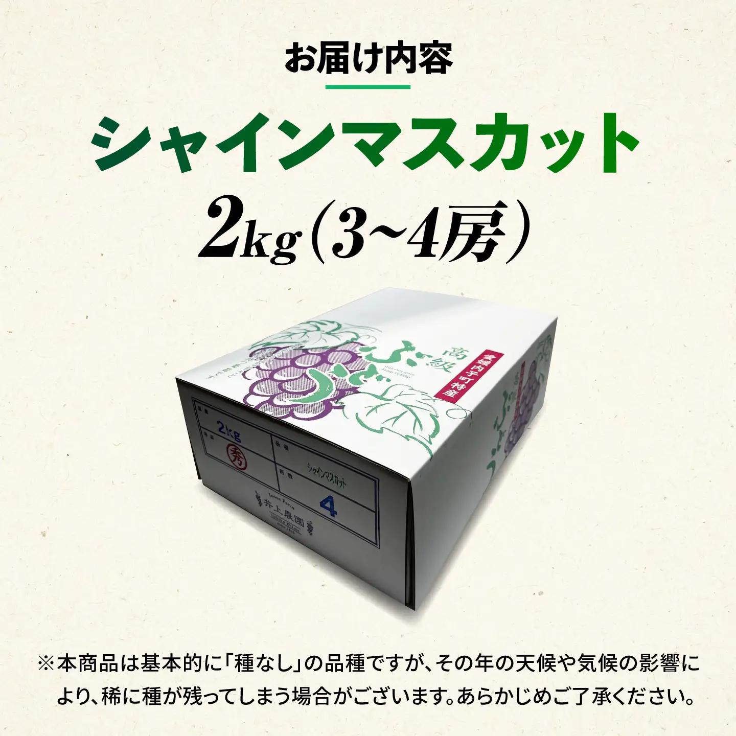 シャインマスカット 2kg (3から4房) BKCS003