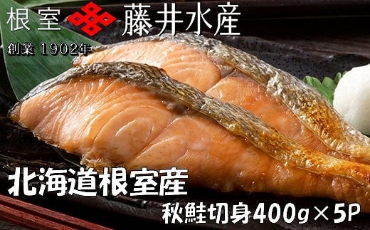 
            A-42129 ＜鮭匠ふじい＞天然鮭切身(甘塩)400g×5P
          