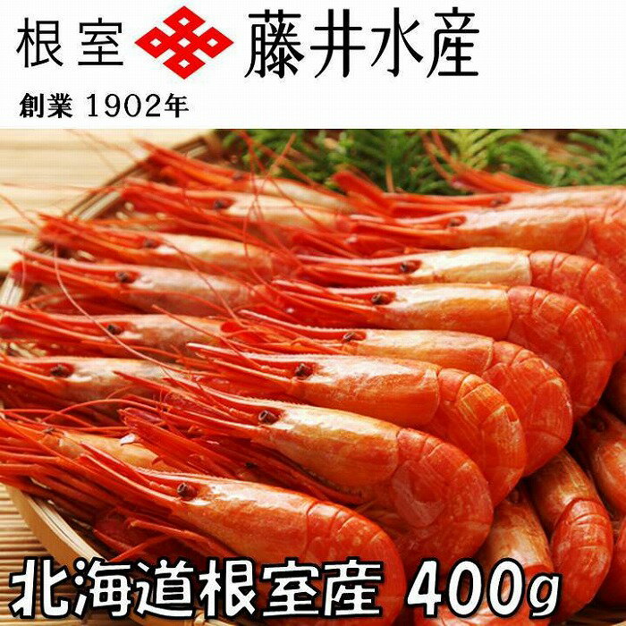 【ふるさと納税】[北海道根室産]北海しまえび400g~700g 選べる エビ 海老 海鮮 北海道 根室市