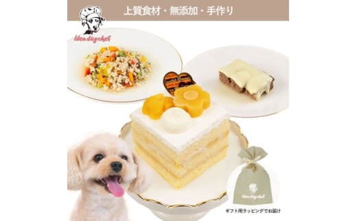 ＜マンゴーのショートケーキセット＞犬のケーキ・ごはん 無添加 手作り Idea dog chef【1660625】
