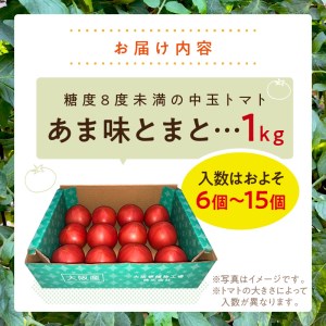 大阪泉州育ち あま味とまと 1kg 野菜 トマト 生鮮 フルーツトマト 夏野菜 食料品 水耕栽培 中玉 ふるさと納税 人気 新鮮【051D-006】