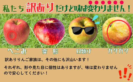 【訳あり】 りんご シナノゴールド 約10kg（22～40玉）【2026年10月下旬より発送 先行予約】At-025