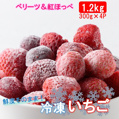 鮮度そのまま! 冷凍完熟いちご / ベリーツ&紅ほっぺ 1.2kg (300g×4P)_2418R