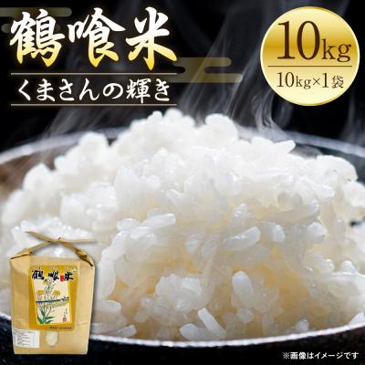 ふるさと納税 八代市 《令和7年産》 鶴喰米 精米10kg くまさんの輝き 米 精米 白米_094-6120-A