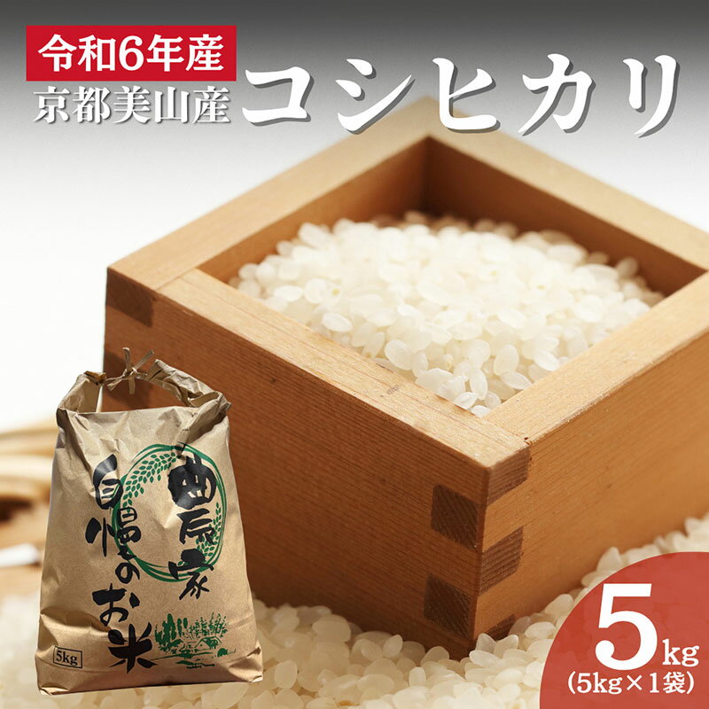 【ふるさと納税】令和6年産 京都美山産コシヒカリ 5kg　こしひかり 精米 コメ こめ お米 単一原料米 ごはん ご飯 京都