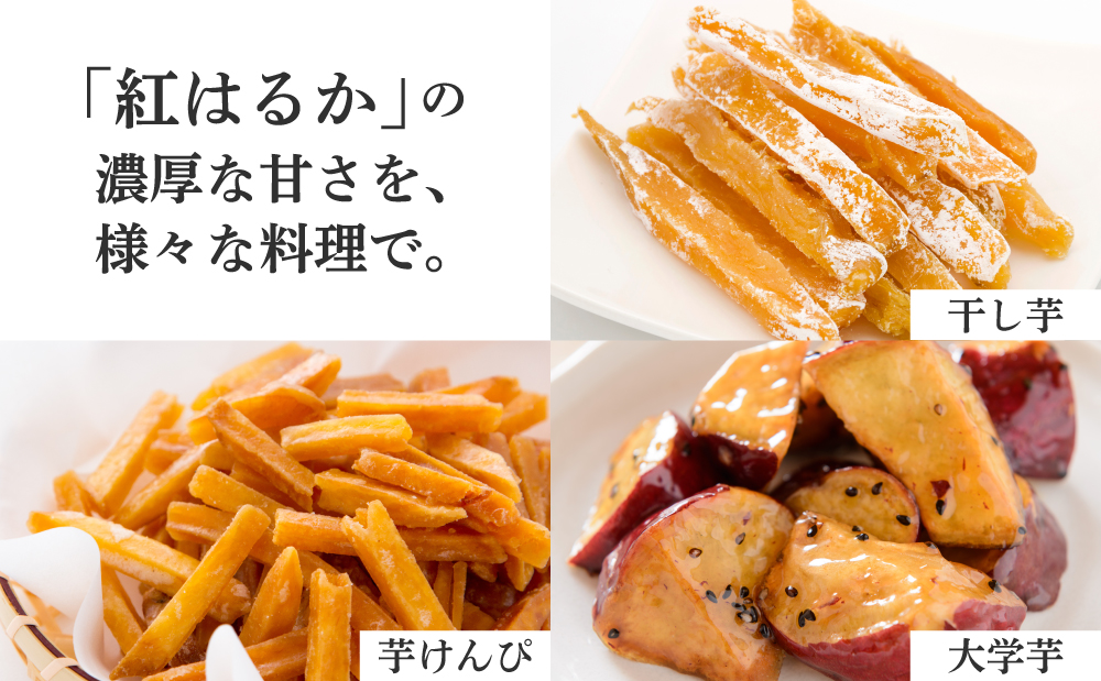 ★10月発送開始★ 鹿児島県産生さつまいも 「紅はるか」約5kg さつまいも 焼き芋 さつま芋 甘藷 サツマイモ べにはるか スイーツ JA 南さつま市