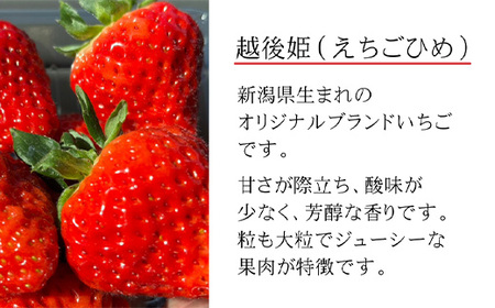 【 数量限定 】 いちごジャム（越後姫）　2種食べ比べセット　通常・クラッシュ　各100g　【machikago（マチカゴ）】