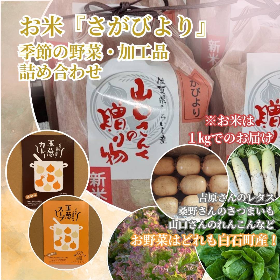 
            【セット】お米1kgと季節の野菜、加工品（玉ねぎカレー、玉ねぎスープ）の詰め合わせ
          