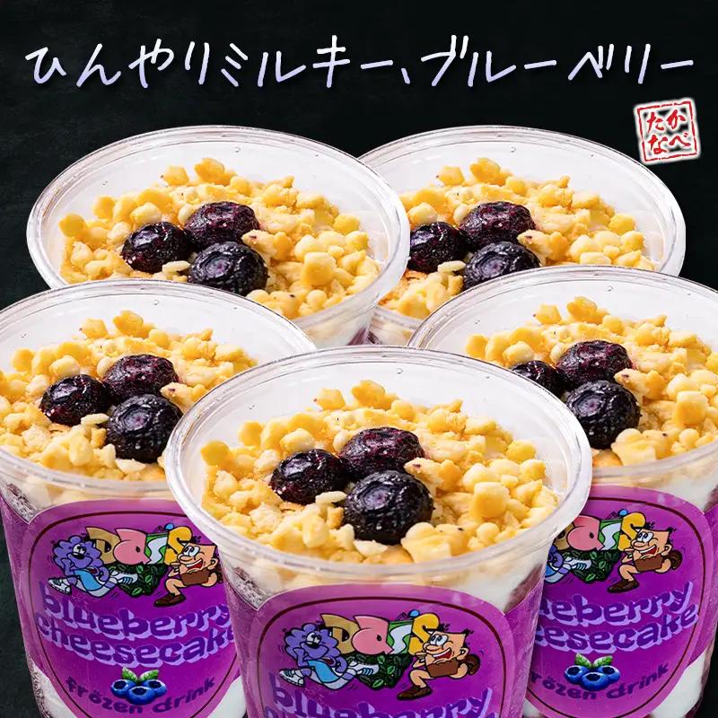 フローズンドリンク ブルーベリー チーズケーキ 300g 5本 飲むアイス