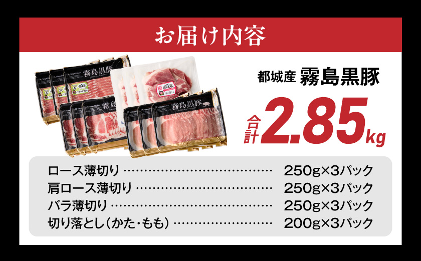 霧島黒豚バラエティセット2.85kg≪みやこんじょ特急便≫_23-2801-Q