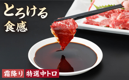 【3回定期便】馬刺し バラエティセット 3種類 〜3・4人前〜 ＋タレ小【馬刺しの郷 民守】  肉 馬肉 馬 熊本県 特産品 特産  [ZBL048]