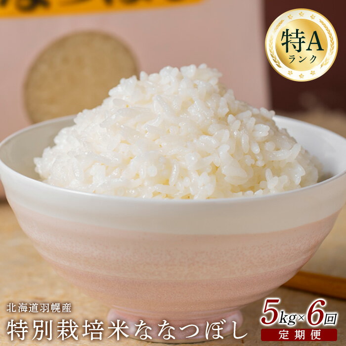 【ふるさと納税】【2025年産】 【定期便：6回】 北海道羽幌産 特別栽培米 ななつぼし5kg ｜ 5キロ 計30kg 計30キロ 米 定期 6回 安心 安全 北海道米 ワンストップ オンライン申請 ふるさと納税 北海道 羽幌町 羽幌【0811502】