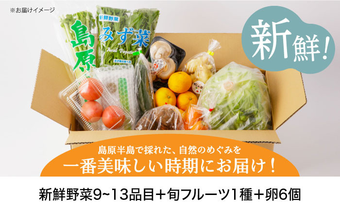 島原半島で採れた自然のめぐみを一番美味しい時期にお届け！