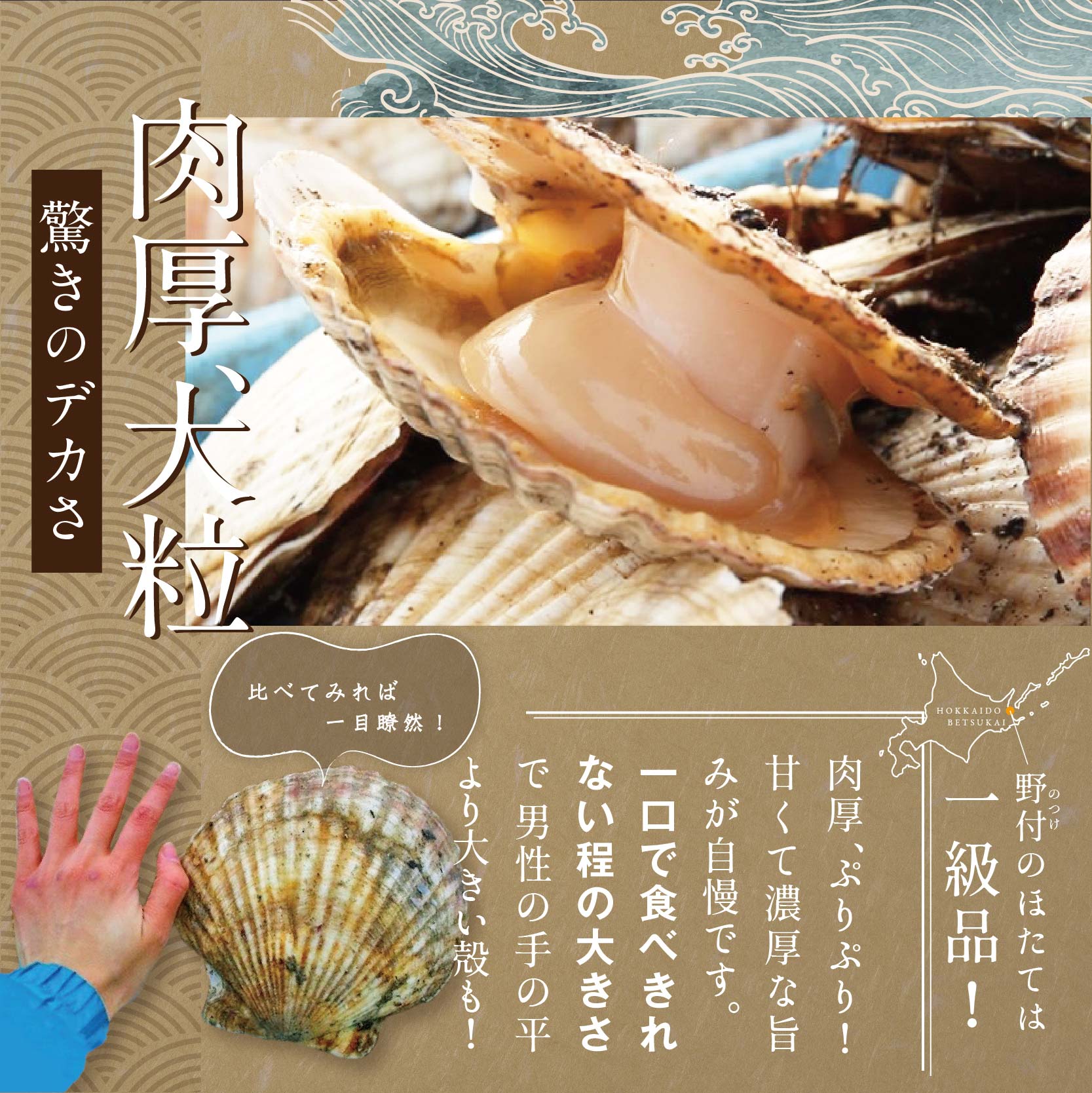 【隔月3回定期便】★NA北海道 野付産 冷凍ホタテ 貝柱 旨粒（3Sサイズ）ホタテ500ｇ_イメージ3