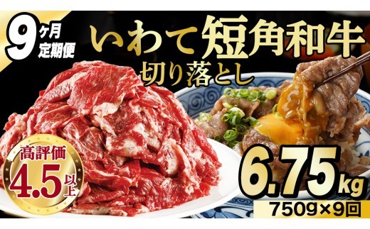＼9ヶ月連続 定期便／ 切り落とし 赤身 肉 牛肉 いわて 短角和牛 750g (総計 6.75kg) 小分けパック 真空冷凍 | 牛肉 肉 赤身 短角 和牛 国産牛 ブランド牛 切り落し 大容量 牛丼 肉じゃが 煮込み 煮物 小分け 真空パック 数量限定 (AB123)