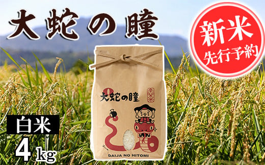 【令和6年産】大蛇の瞳 白米 4kg 精米 熊本県 南関町産 単一原料米 コシヒカリ 産地直送 コメ お米 ごはん